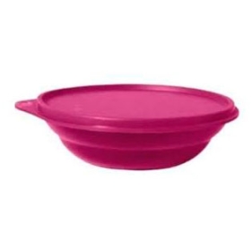 Tupper Pragela 450ML